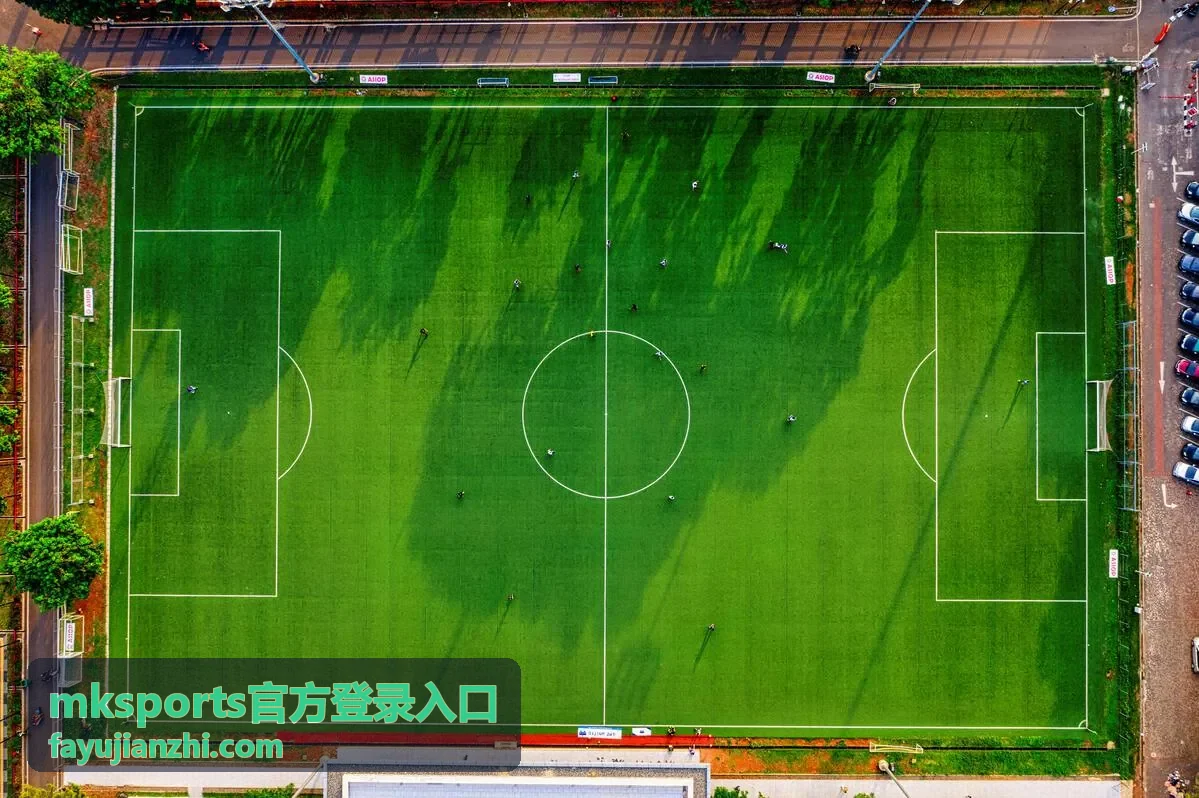 mksports官方登录入口最新变化说明