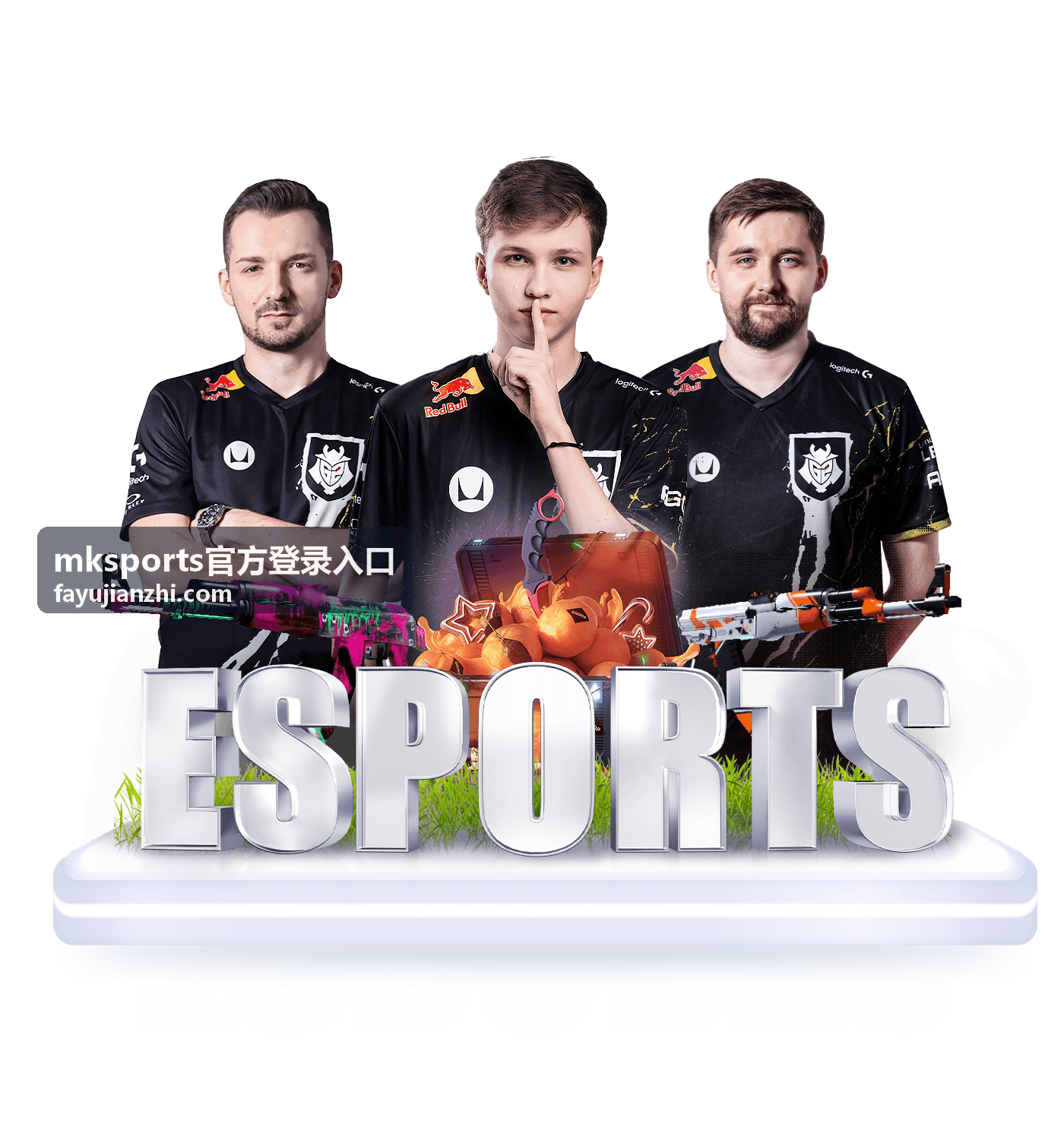 mksports官方登录入口安全验证流程