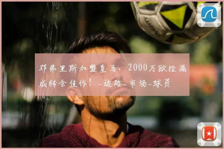 邓弗里斯加盟皇马，2000万欧捡漏成转会佳作！_边路_市场_球员