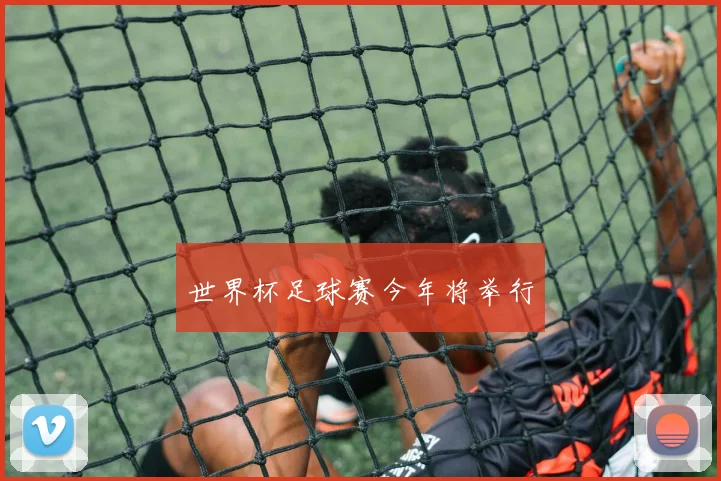 世界杯足球赛今年将举行
