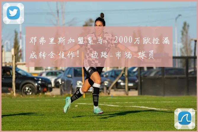 邓弗里斯加盟皇马，2000万欧捡漏成转会佳作！_边路_市场_球员