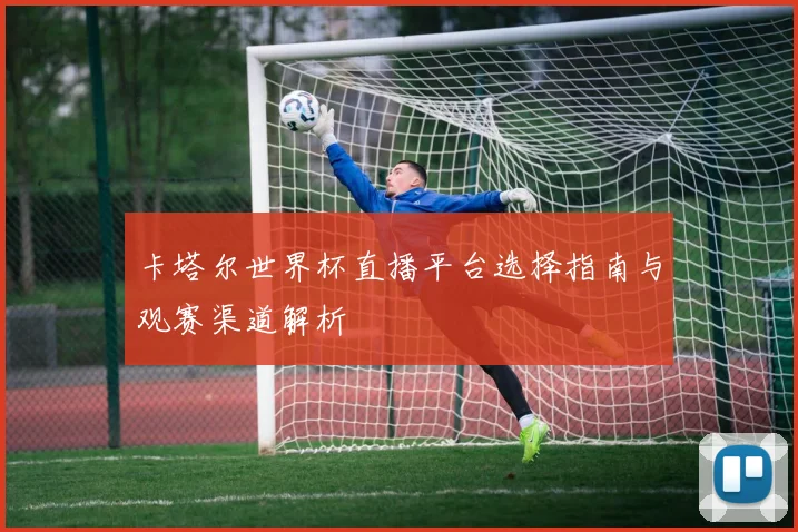卡塔尔世界杯直播平台选择指南与观赛渠道解析
