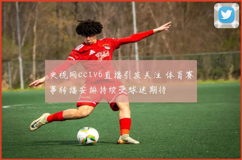 央视网cctv6直播引发关注 体育赛事转播安排持续受球迷期待
