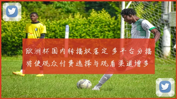 欧洲杯国内转播权落定 多平台分播将使观众付费选择与观看渠道增多