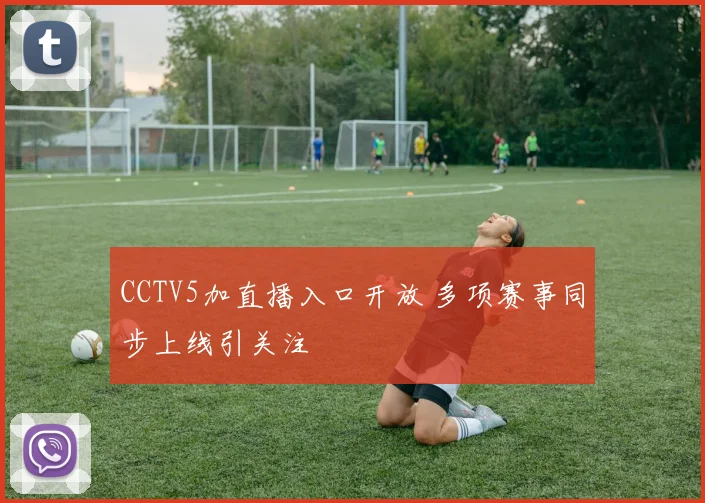 CCTV5加直播入口开放 多项赛事同步上线引关注