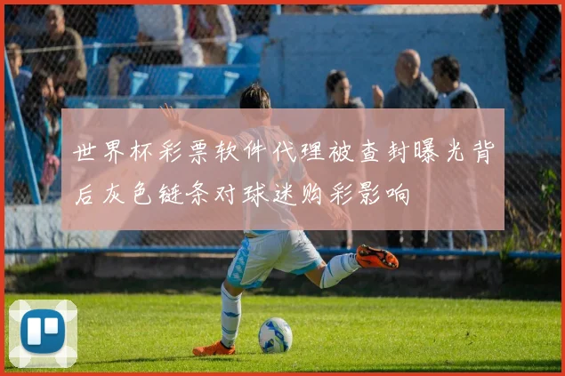 世界杯彩票软件代理被查封曝光背后灰色链条对球迷购彩影响