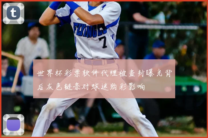 世界杯彩票软件代理被查封曝光背后灰色链条对球迷购彩影响