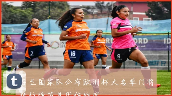 芬兰国家队公布欧洲杯大名单门将赫拉德茨基因伤缺席